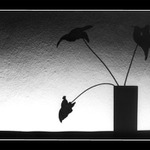 Silueta