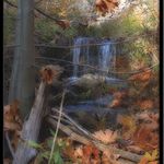 My little dream world