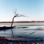 Bezdrev