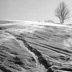 Na bezkach ve vanici