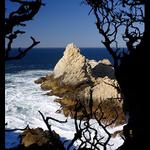 Another view at Point Lobos