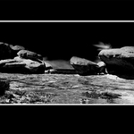 Stone Desert
