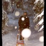 Lesem ... sáně nesem :)