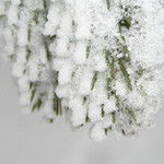-10°C