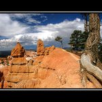 Bryce Canyon