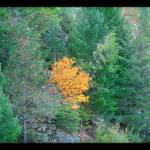 Tak sam... ( Lake Tahoe )