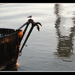 ...ciernobiely pasazier...