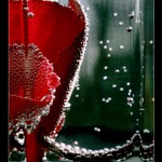 br br br brambořík