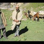 Sir ... one picture only!