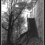 Zase Petřín