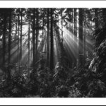 Les, sníh a teplá fronta ;-)