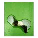 Sluníčka pro Sluníčko II