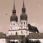 Vtak
