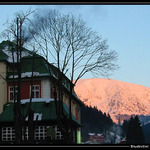 Z raní cesty pro pečivo