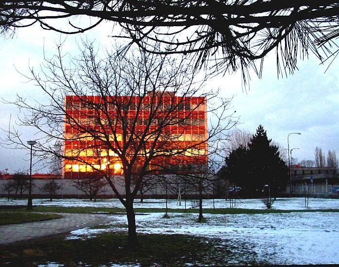 holozima v lednu v Hradci