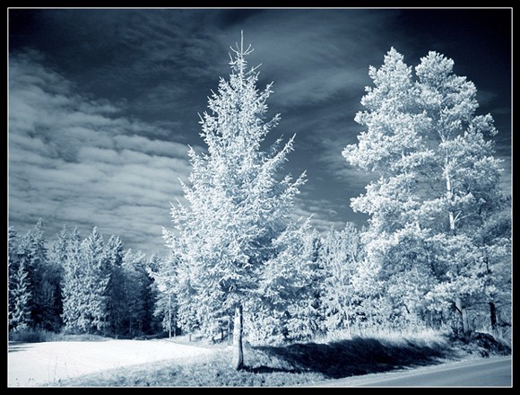 něco jako jen tak... IR