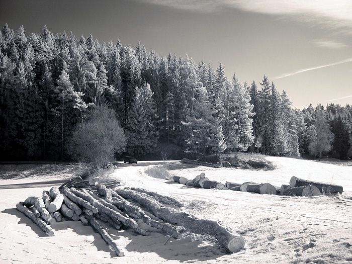 dřevo IR