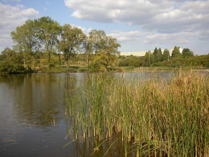 Žebětínský rybník