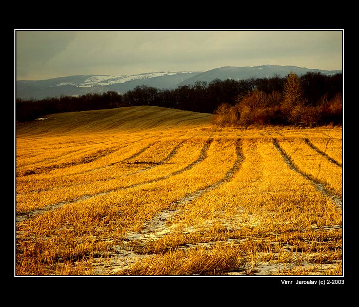 Jen ten dnešní den .....