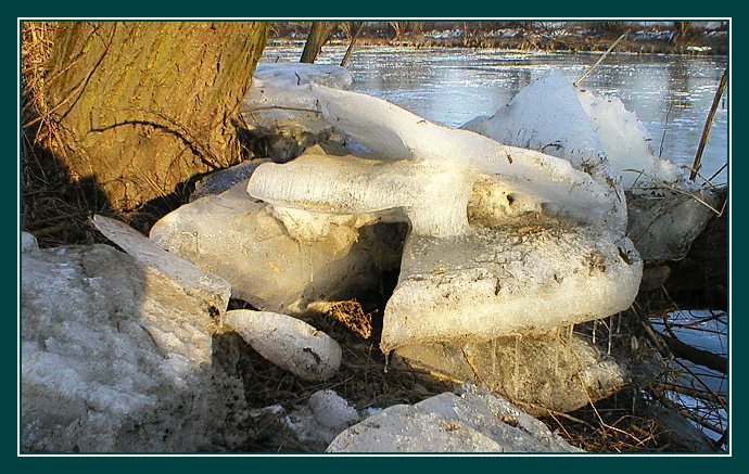 Ice dragon