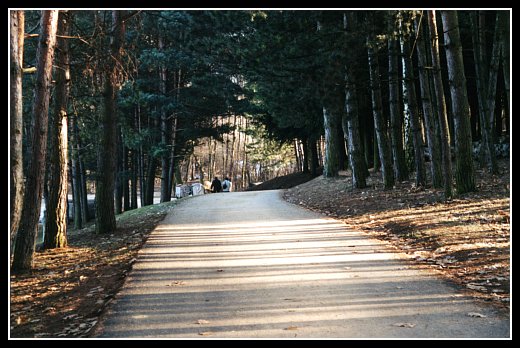 Cesta má předemnou v dáli mizí