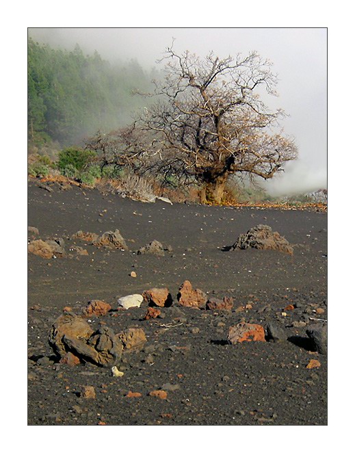 Pod sopkou - Tenerife