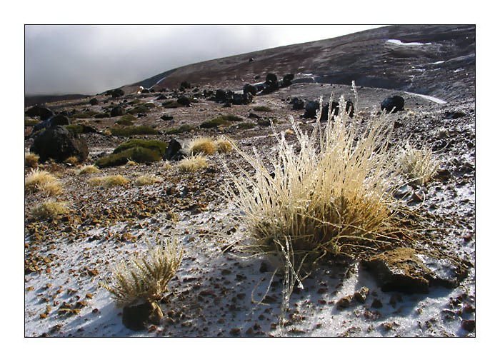 Námraza na lavovém poli