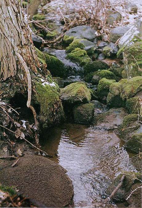 Potůček