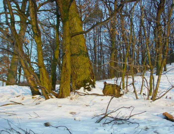 vikend na morave... I.