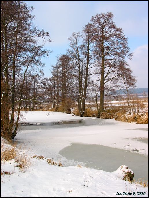 Zima (1)
