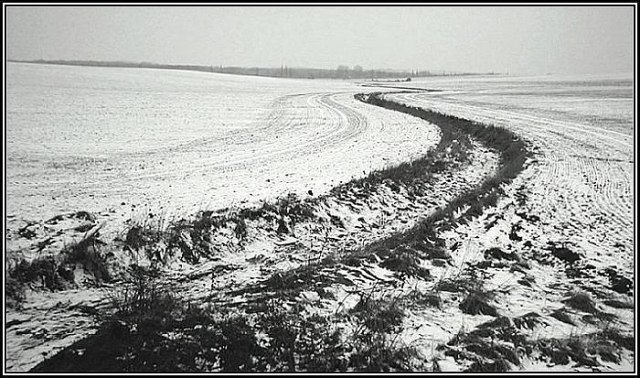Křivka na polích
