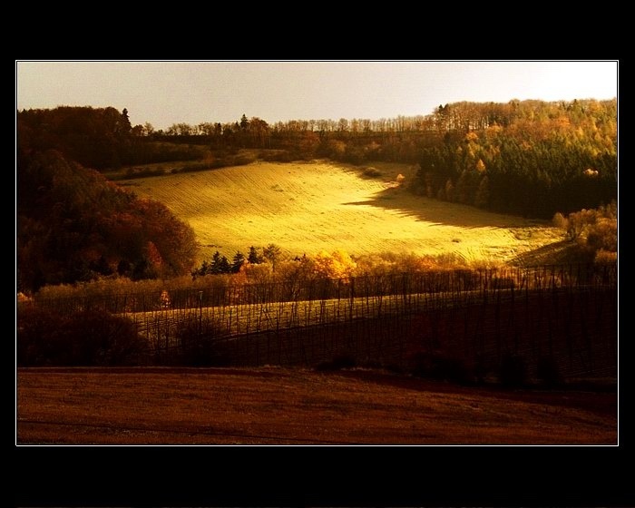 ..::ZÁZRAK::..