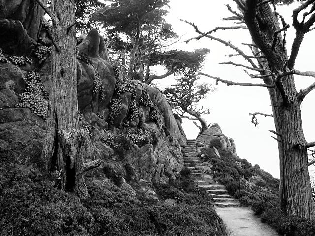 Mirkwood