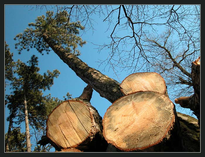 to,co jsme teď my, budete i vy