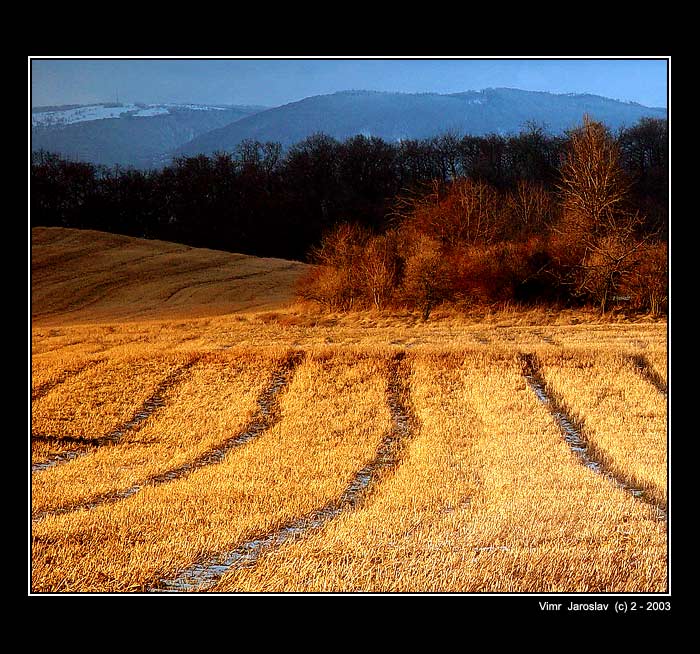 Zlaté Slunce .. .. .. .. ..