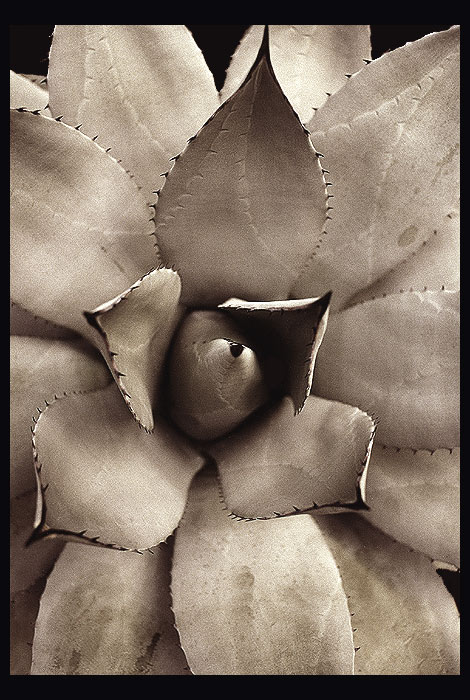 pro Jiriho Cvrka.....