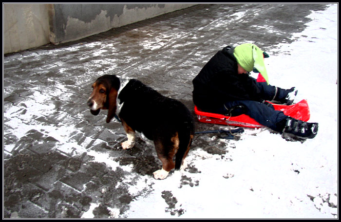 s bobama po Plzni ...