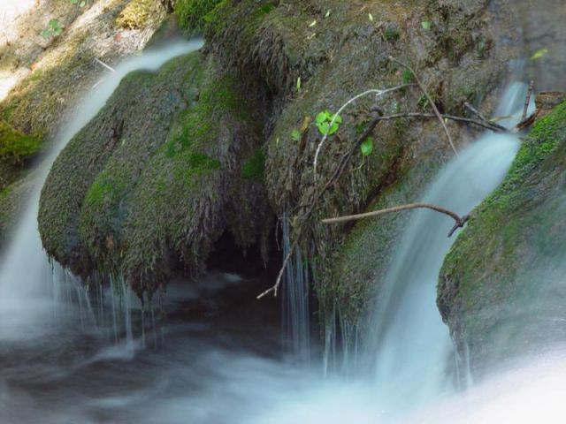 Detail - řeka Krka