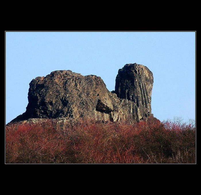 Kočka pro Doru a Mariána :)