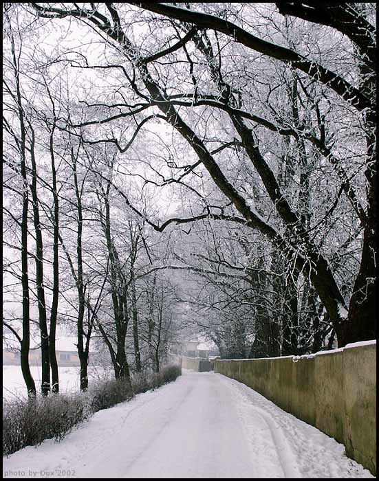 Ceska zima 2