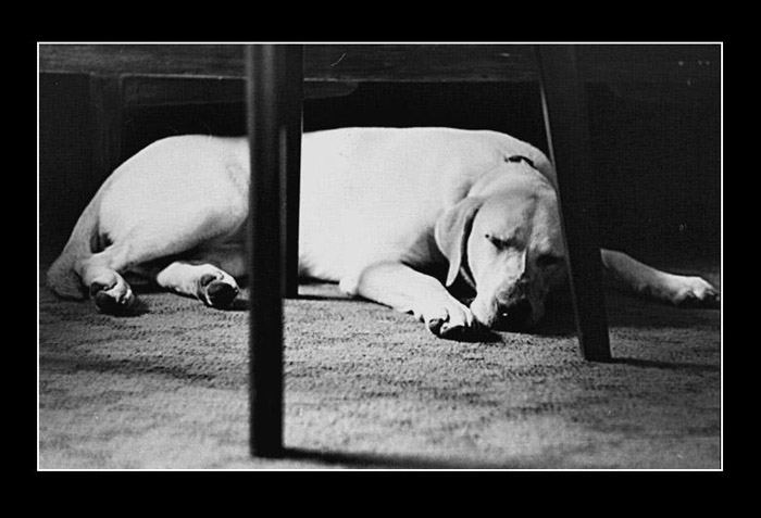 Můj nejlepší přítel :-)