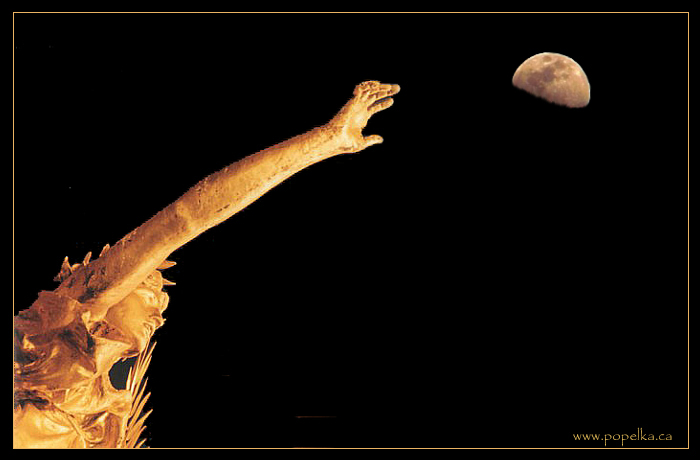 Reach for the moon