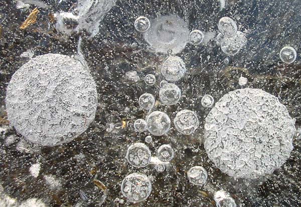 frozen orbs
