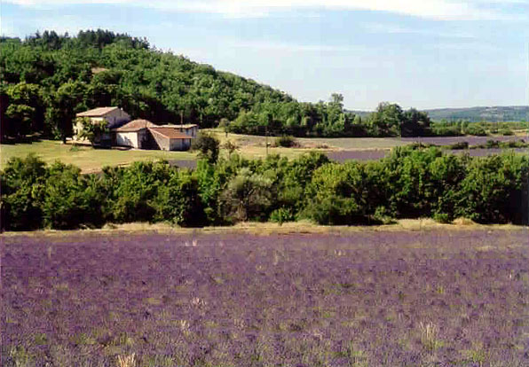 Provence 2002