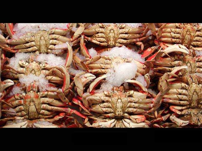 Seattle, Public Market, USA