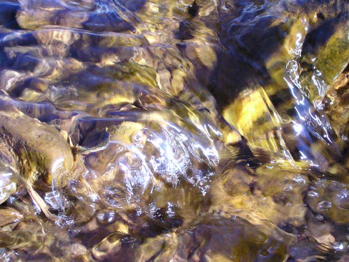 Blue Water