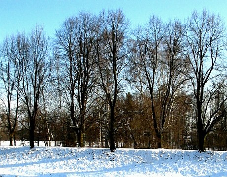 Na okraji