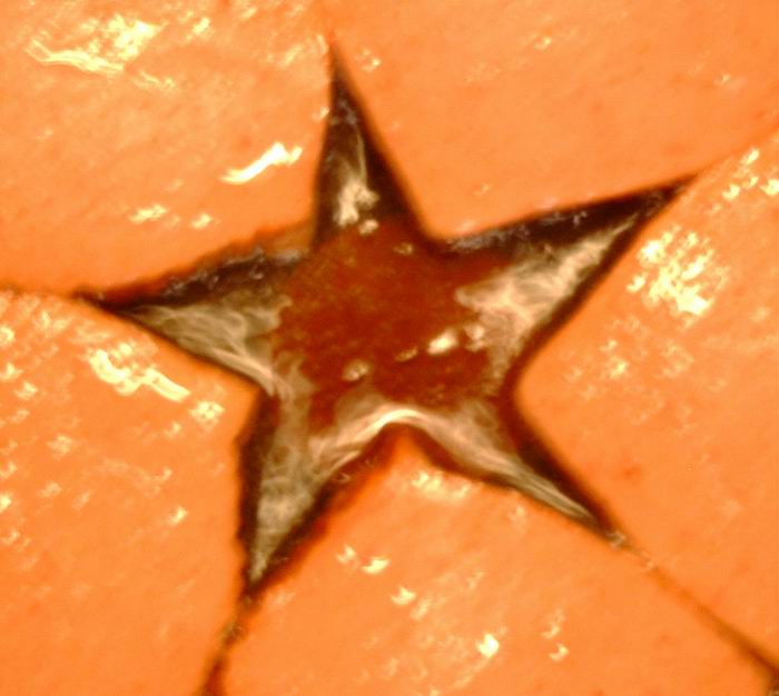 Na panvici