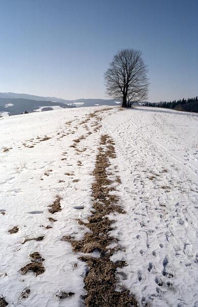 Na Valachách