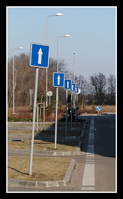 ...v zajati sipiek...